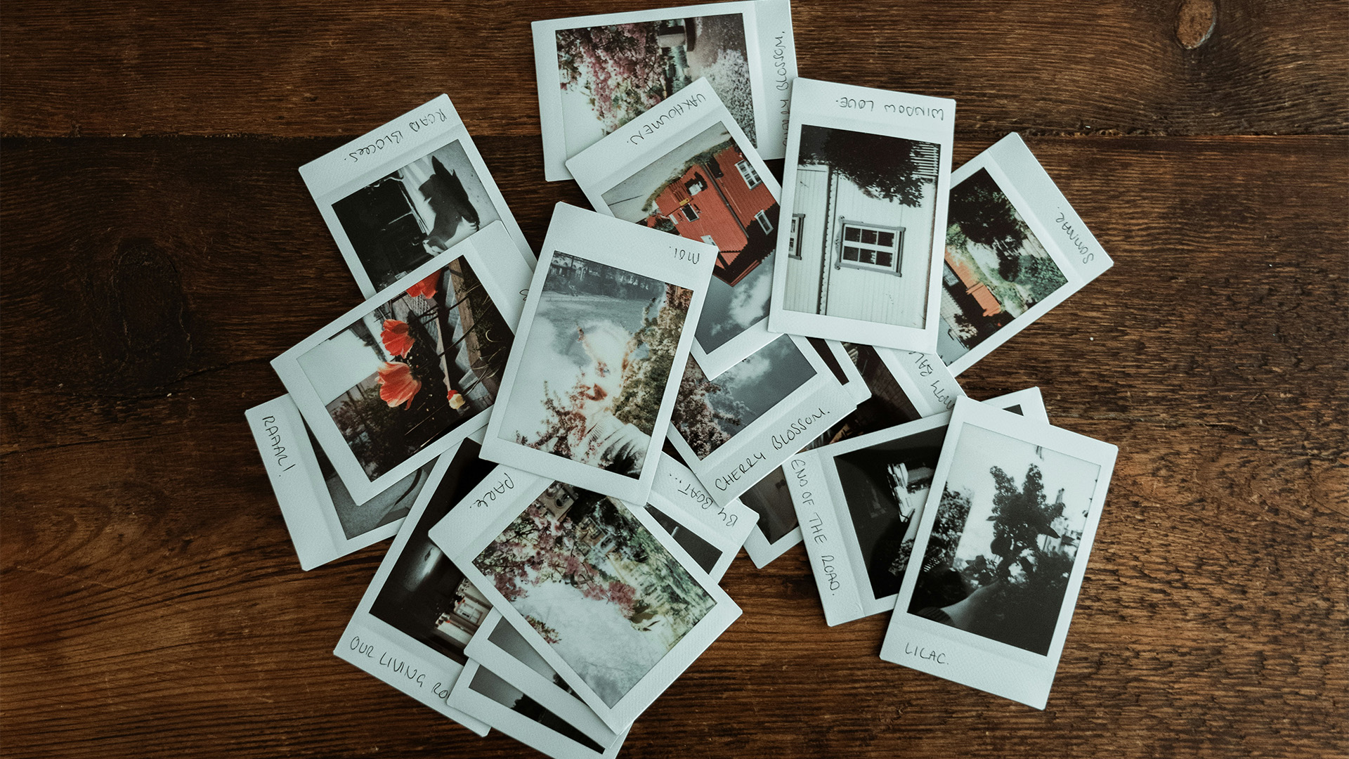 Bilder på webben (illustreras med polaroidbilder på en bordsskiva)