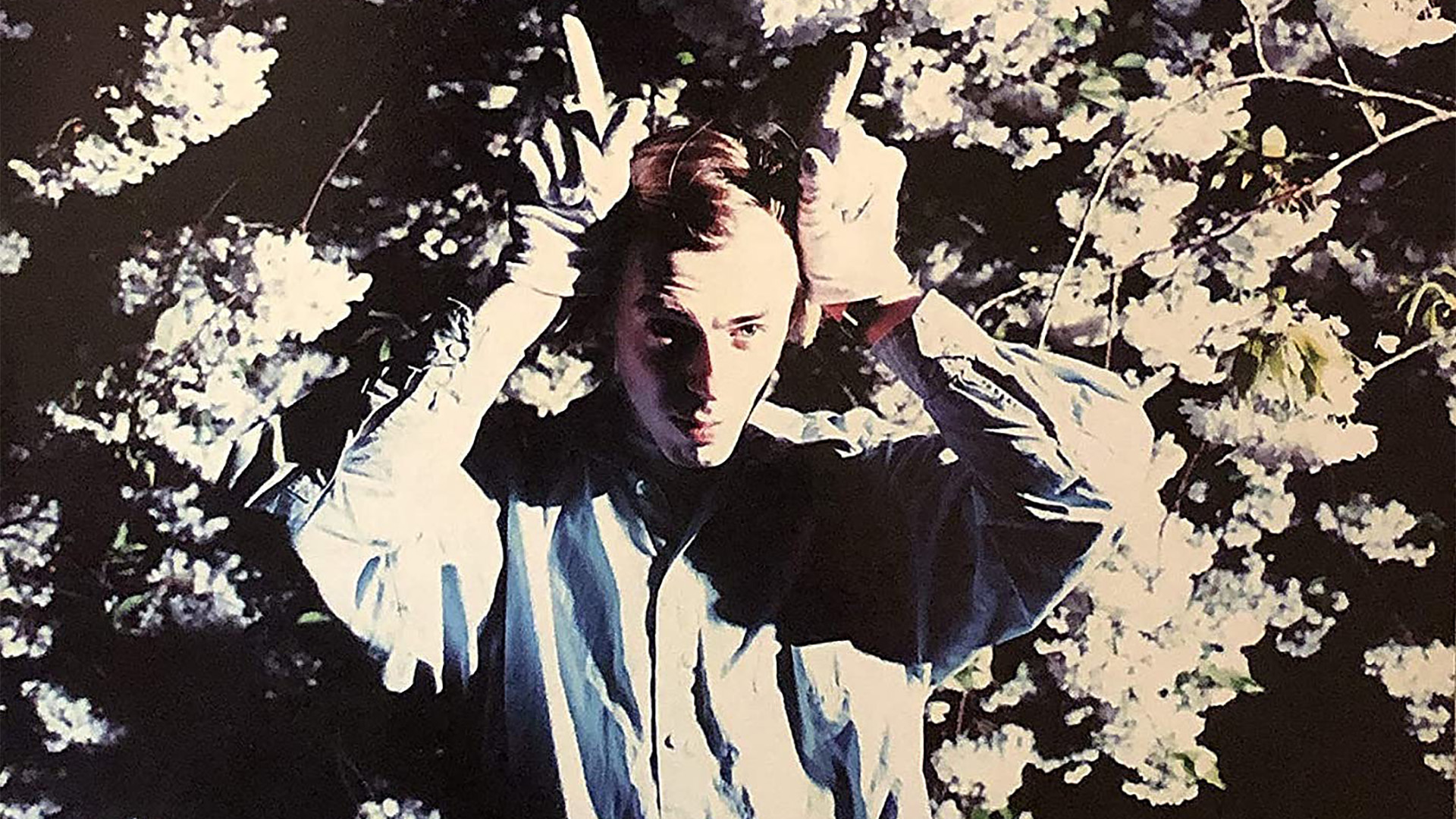 Momus