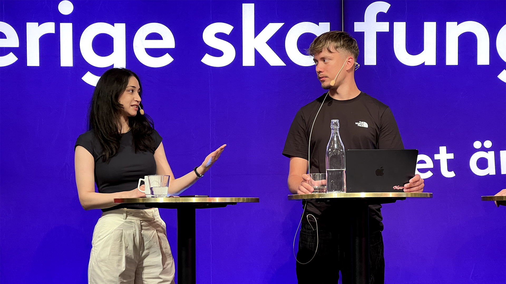 Seminarium i Almedalen